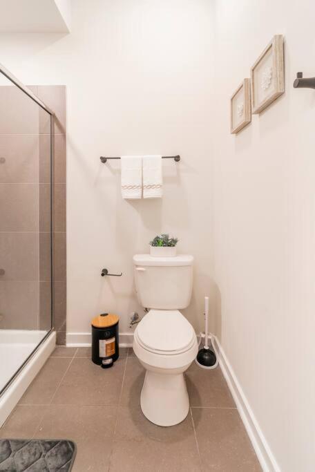 Charming Cozy Apartment With Wi-Fi & Free Parking Charlotte Ngoại thất bức ảnh